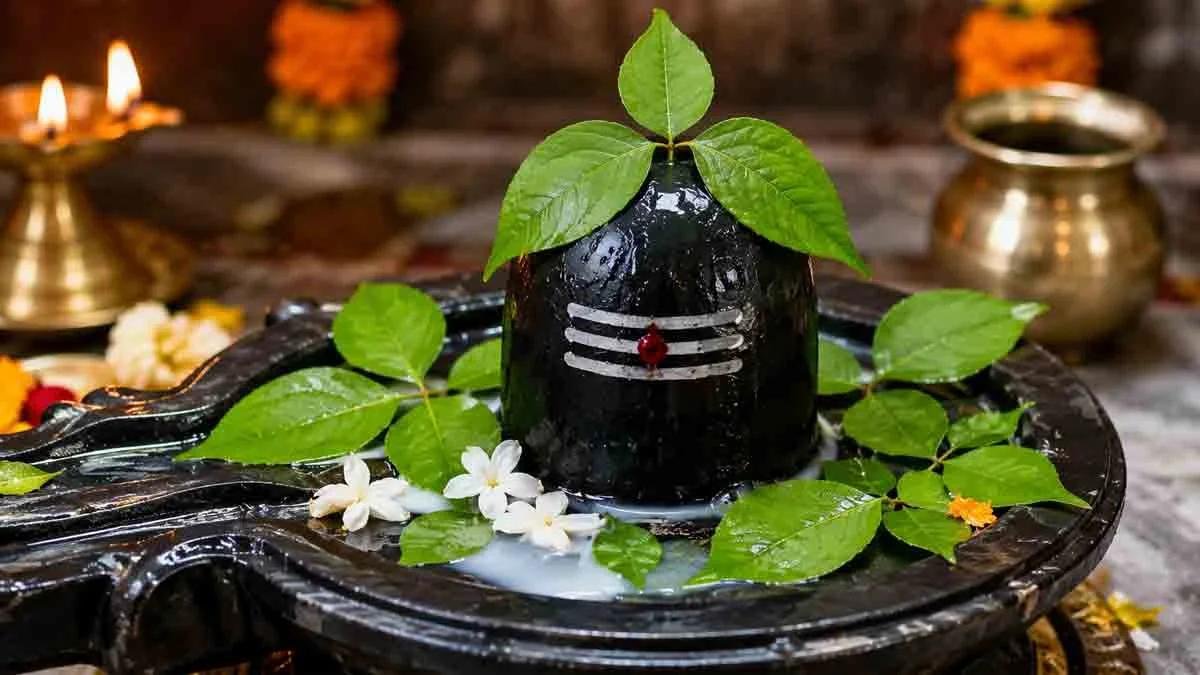 Shivalingam Abhishekam